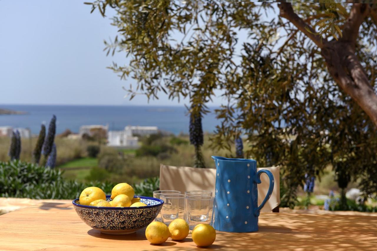 Good Life Greece Eco Villas Posidhonia  Exterior photo