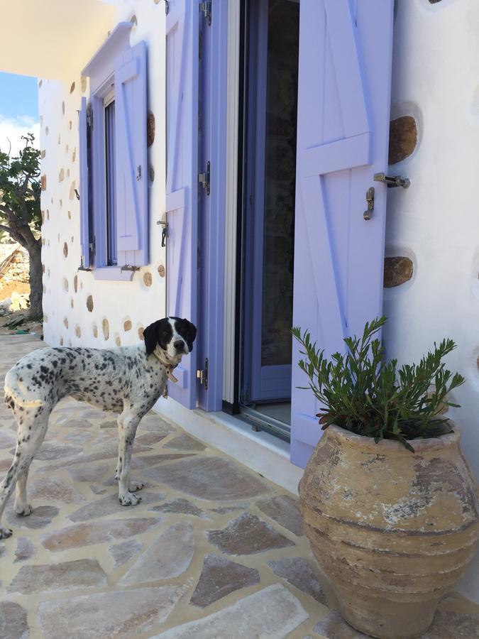 Good Life Greece Eco Villas Posidhonia  Exterior photo